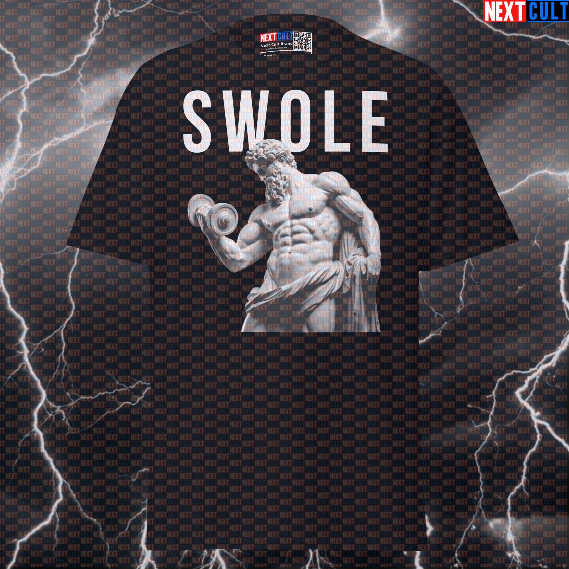 Swole Stoic Sigma Greek God Marble Sculpture Graphic Tee Funny Gym Meme Pump Cover T-Shirt T-shirts Ancient Greece Bodybuilding Fitness Gym Pump Cover Stoicism Workout Next Cult Brand