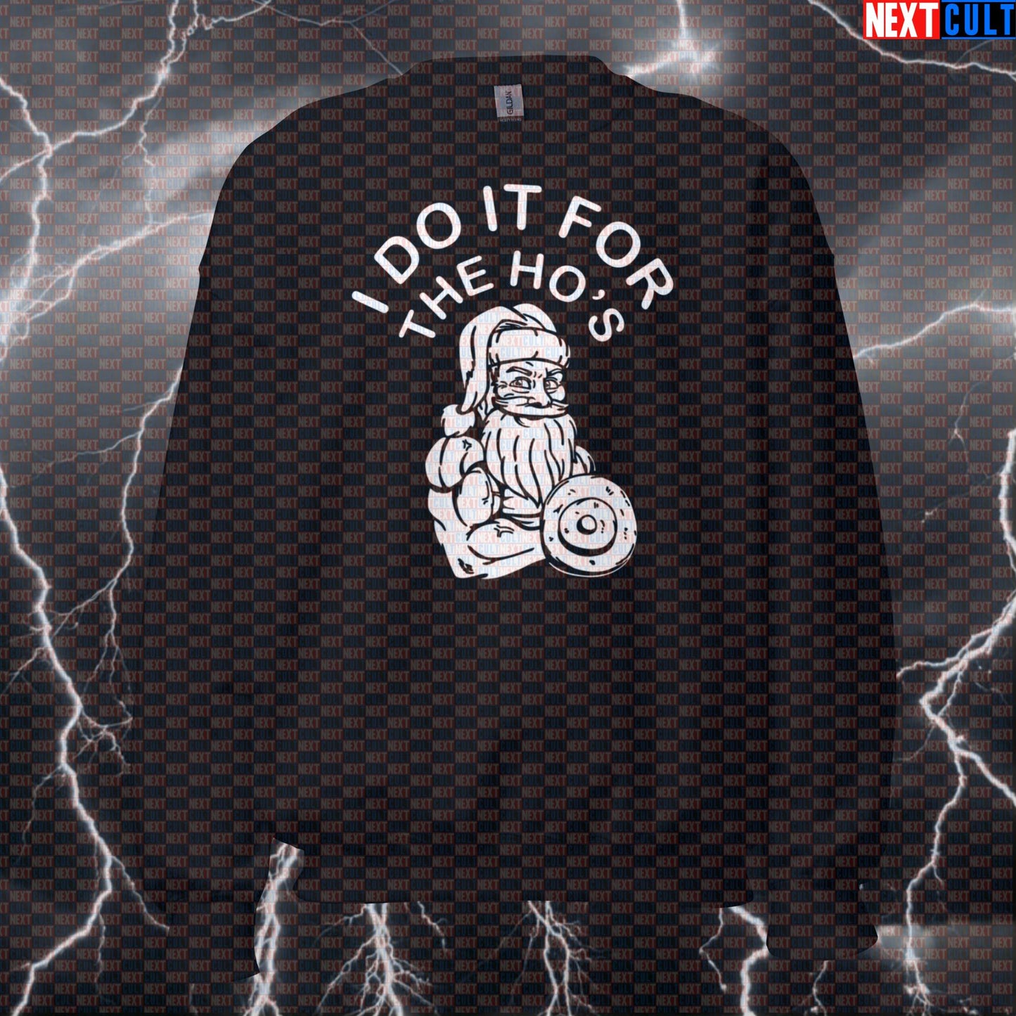 Funny Christmas Gym Meme Sweatshirt - I Do It For The Hos Sweater For Santa Bros Lifters Sweatshirts Bodybuilding Christmas Fitness Gym Pump Cover Workout Next Cult Brand