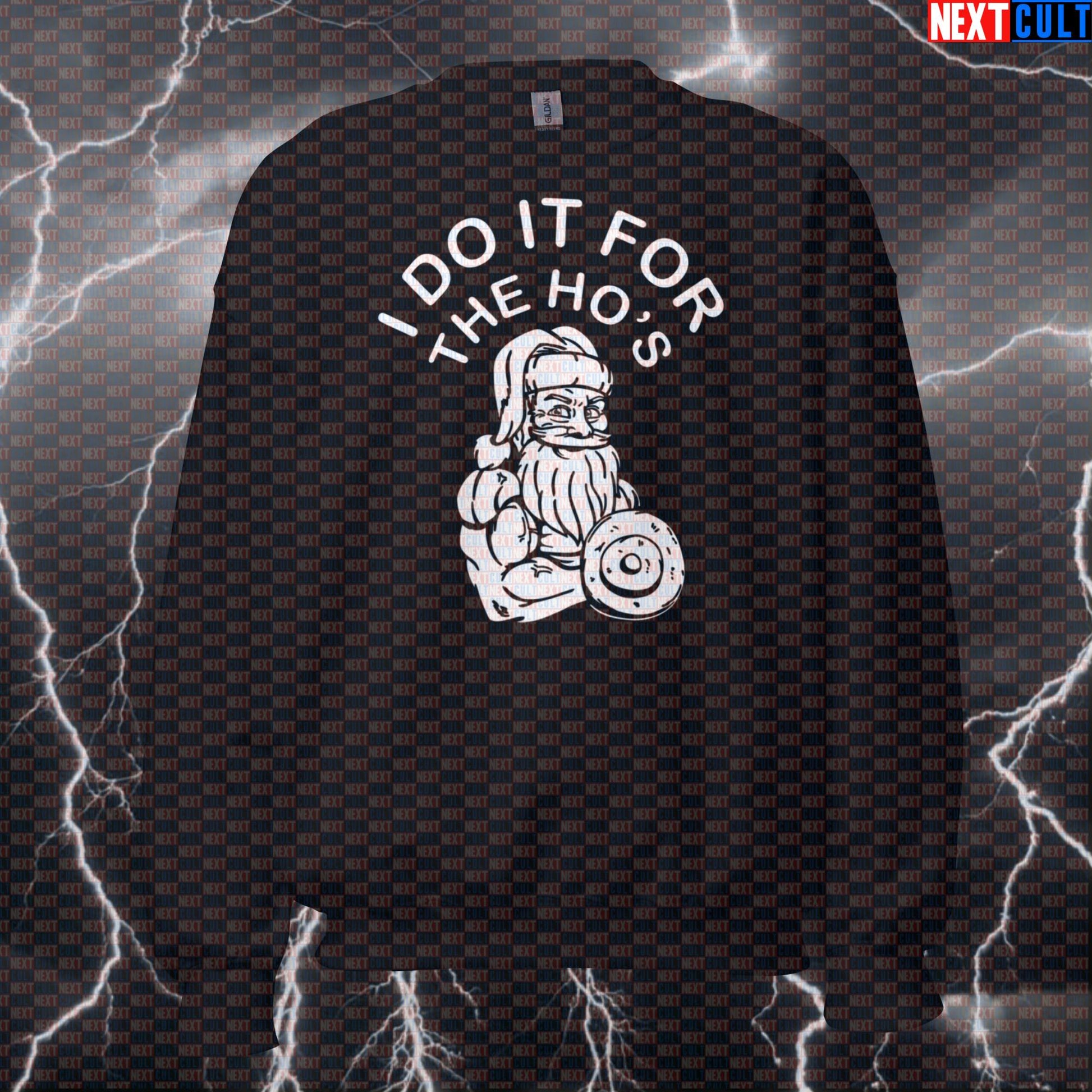Funny Christmas Gym Meme Sweatshirt - I Do It For The Hos Sweater For Santa Bros Lifters Sweatshirts Bodybuilding Christmas Fitness Gym Pump Cover Workout Next Cult Brand