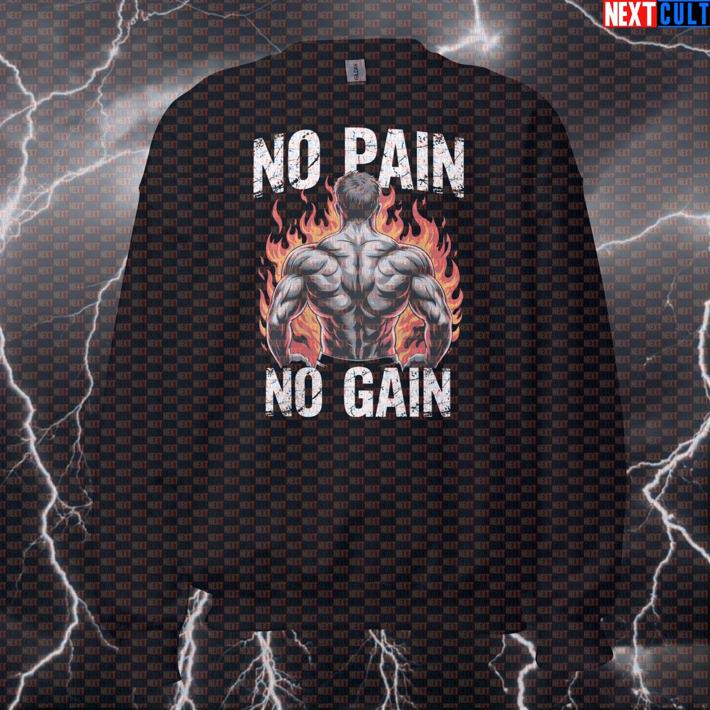Hardcore Gains Gym Sweatshirt | Funny No Pain No Gain Workout Sweater | Fire Back Day Pullover Bodybuilding Fitness Gym Pump Cover Workout Next Cult Brand