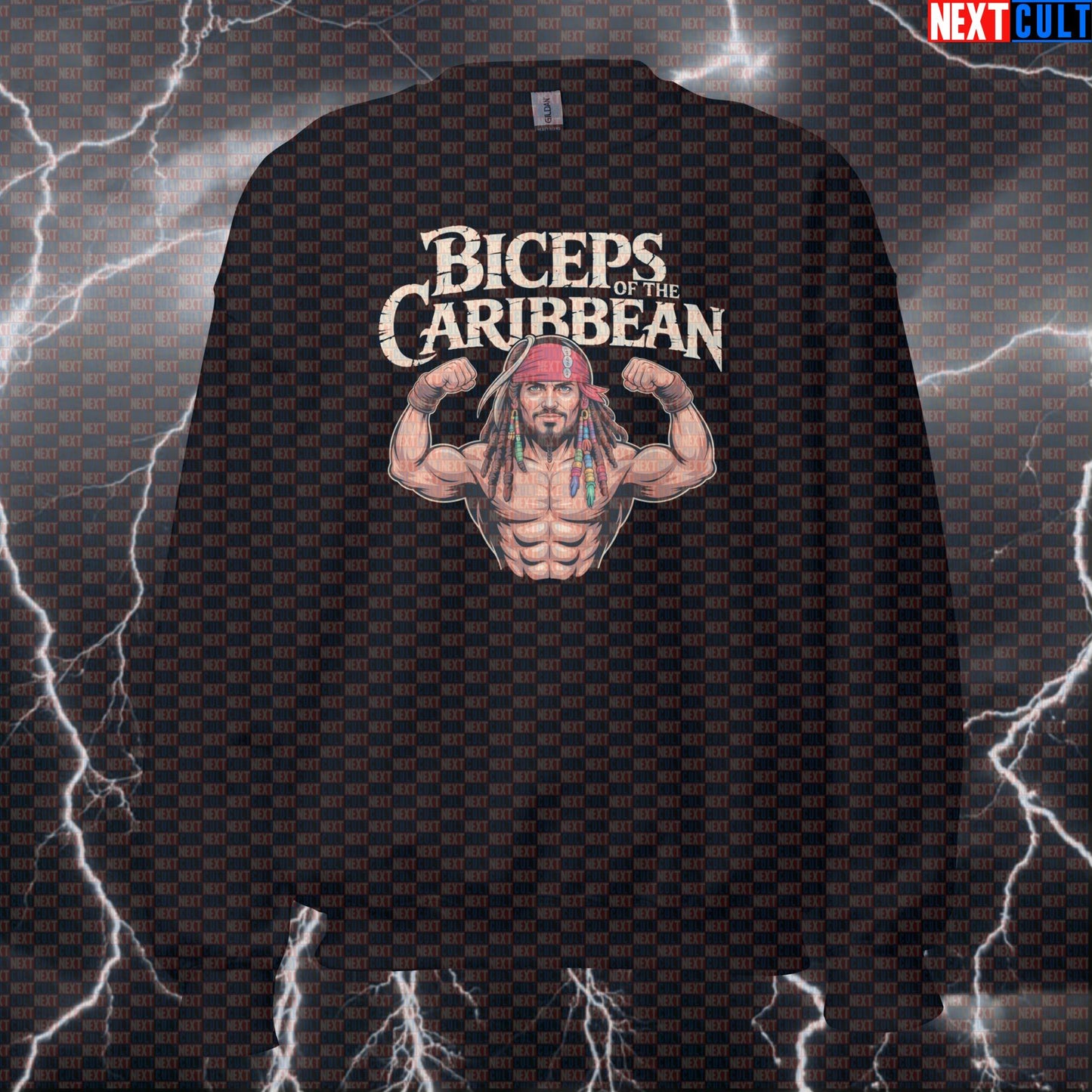 Biceps of the Caribbean Gym Sweatshirt | Funny Pirate Workout Sweater | Pirate Sleeves Pump Cover Pullover Bodybuilding Films Fitness Gym Pirates of the Caribbean Pump Cover Workout Next Cult Brand
