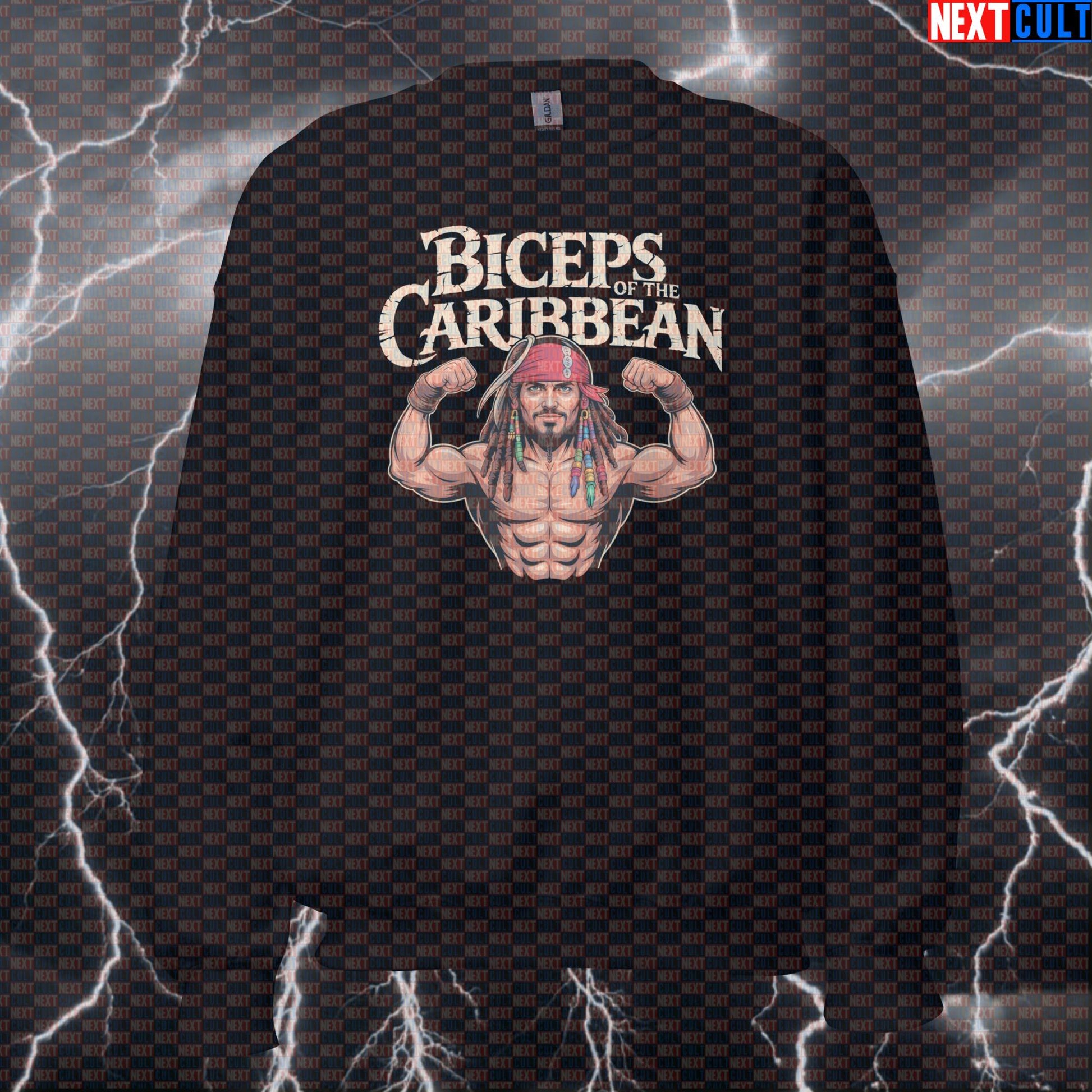 Biceps of the Caribbean Gym Sweatshirt | Funny Pirate Workout Sweater | Pirate Sleeves Pump Cover Pullover Bodybuilding Films Fitness Gym Pirates of the Caribbean Pump Cover Workout Next Cult Brand