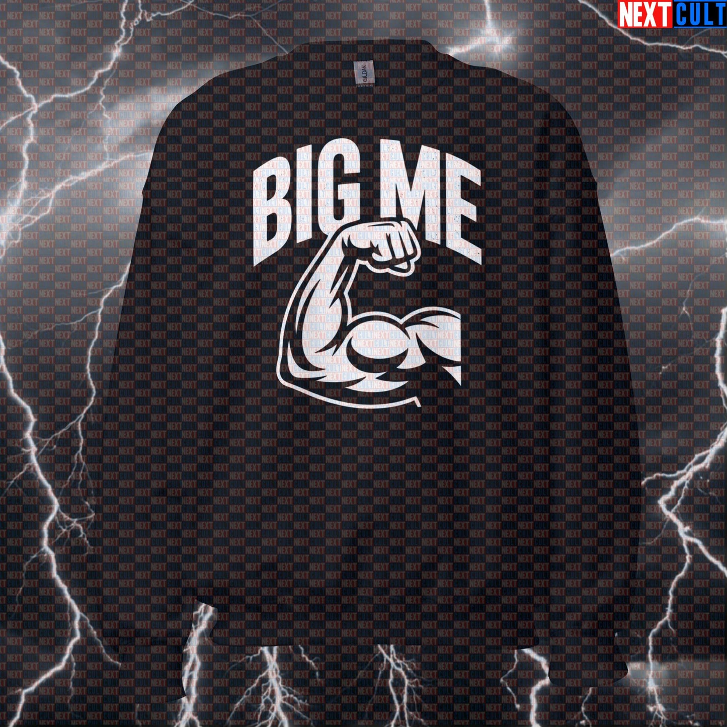Big Me Foo Fighters Funny Gym Sweatshirt - Foo Fighters Big Gains Pullover Jumper Pump Cover Sweatshirts Bodybuilding Fitness Foo Fighters Gym Pump Cover Rock Music Workout Next Cult Brand