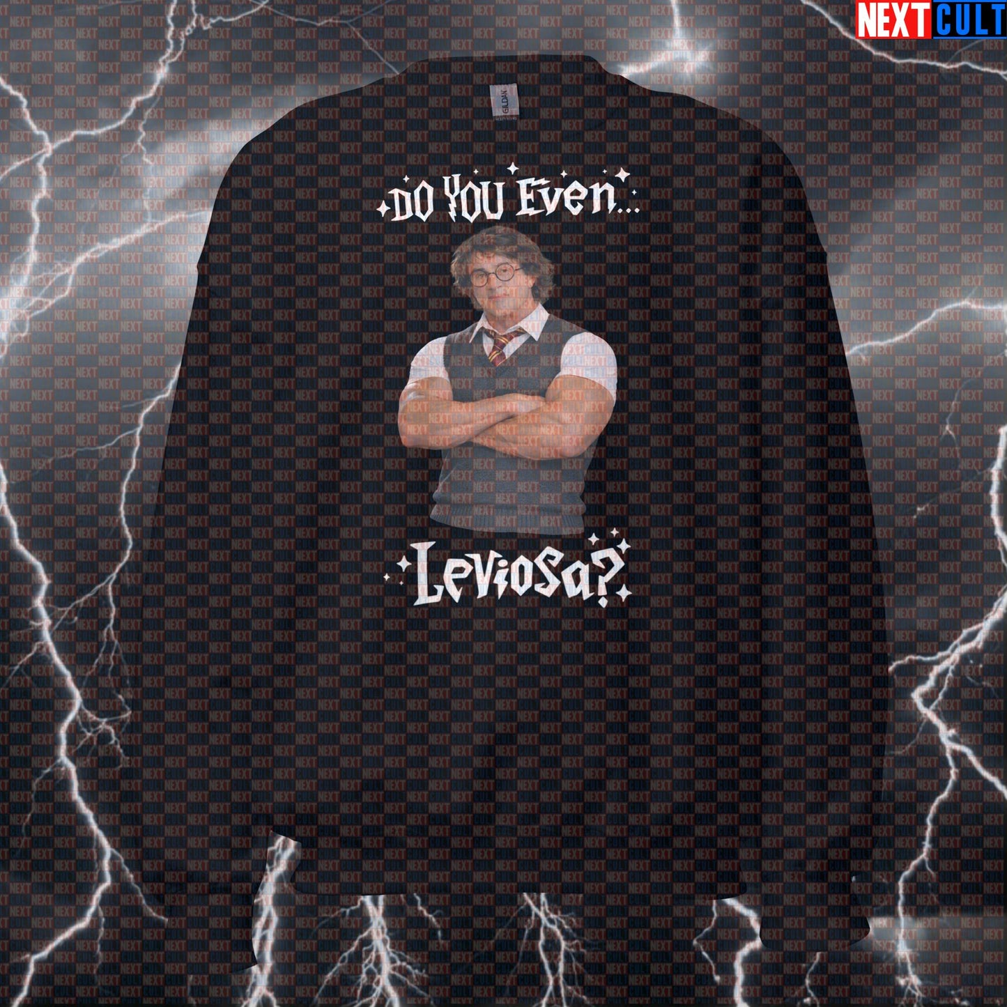 Do You Even Leviosa Funny Gym Sweatshirt Rocky Potter Harry Potter Sylvester Stallone Workout Sweatshirt Sweatshirts Next Cult Brand