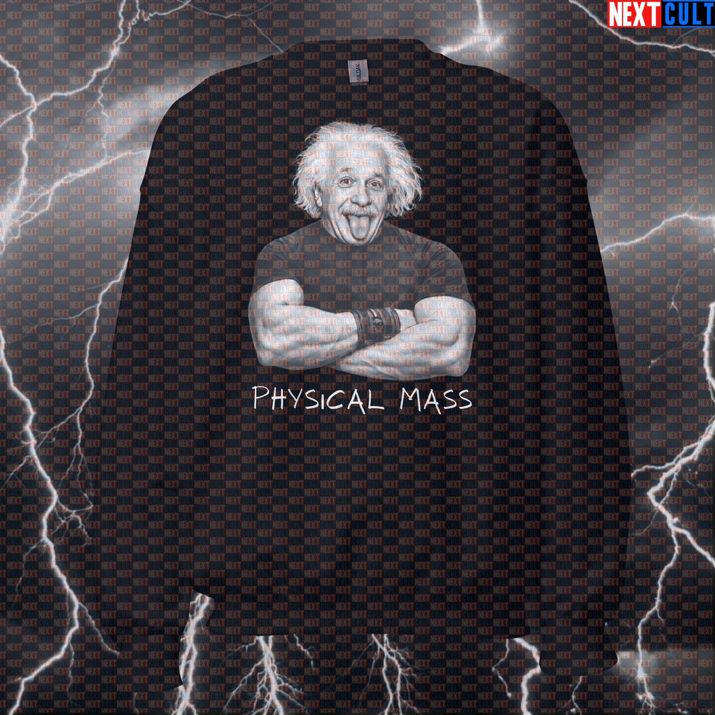Physical Mass Funny Gym Sweatshirt Albert Einstein Science Based Lifting Bro Science Workout Sweatshirt Sweatshirts Next Cult Brand
