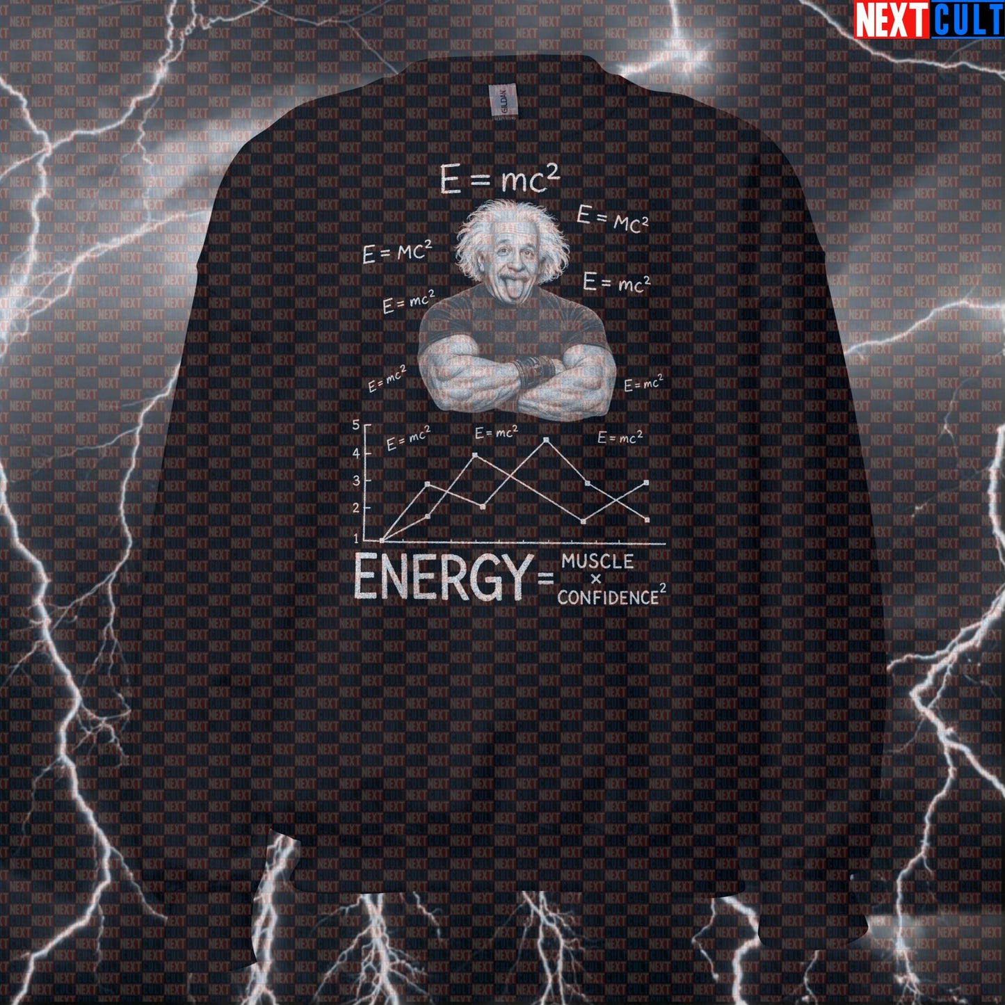 E = mc² Energy Muscle Confidence Funny Gym Sweatshirt Albert Einstein Science Based Lifting Workout Sweatshirts Next Cult Brand