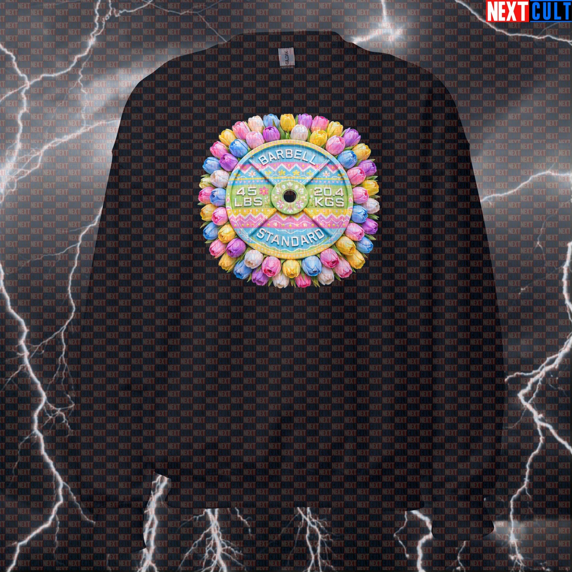 Easter & Weights 45LB Plate Funny Gym Sweatshirt Easter Egg Fitness Barbell Workout Sweatshirt Sweatshirts Next Cult Brand