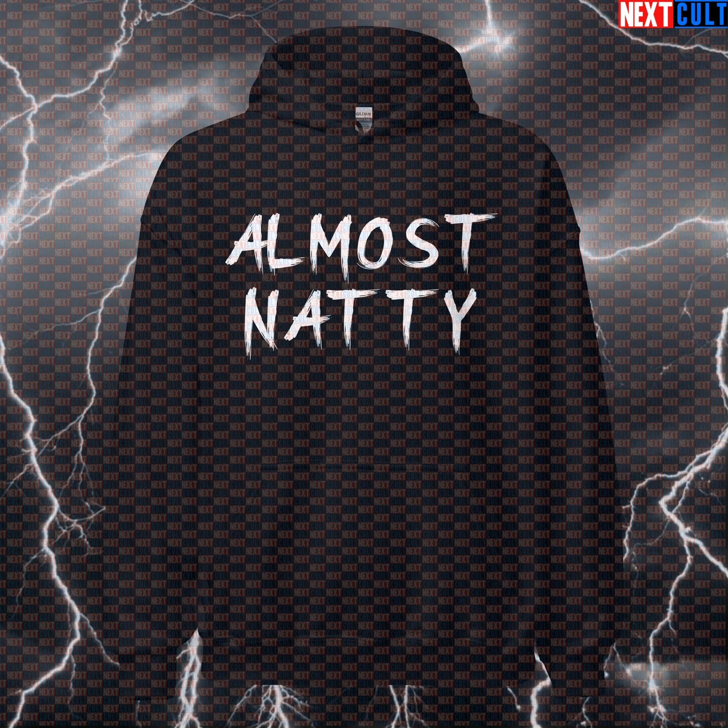 Almost Natty Gym Hoodie | Funny Workout Hoodie For Lifters & Bodybuilding Meme Fans | Hooded Sweatshirt Bodybuilding Fitness Gym Natty Pump Cover Steroids Workout Next Cult Brand