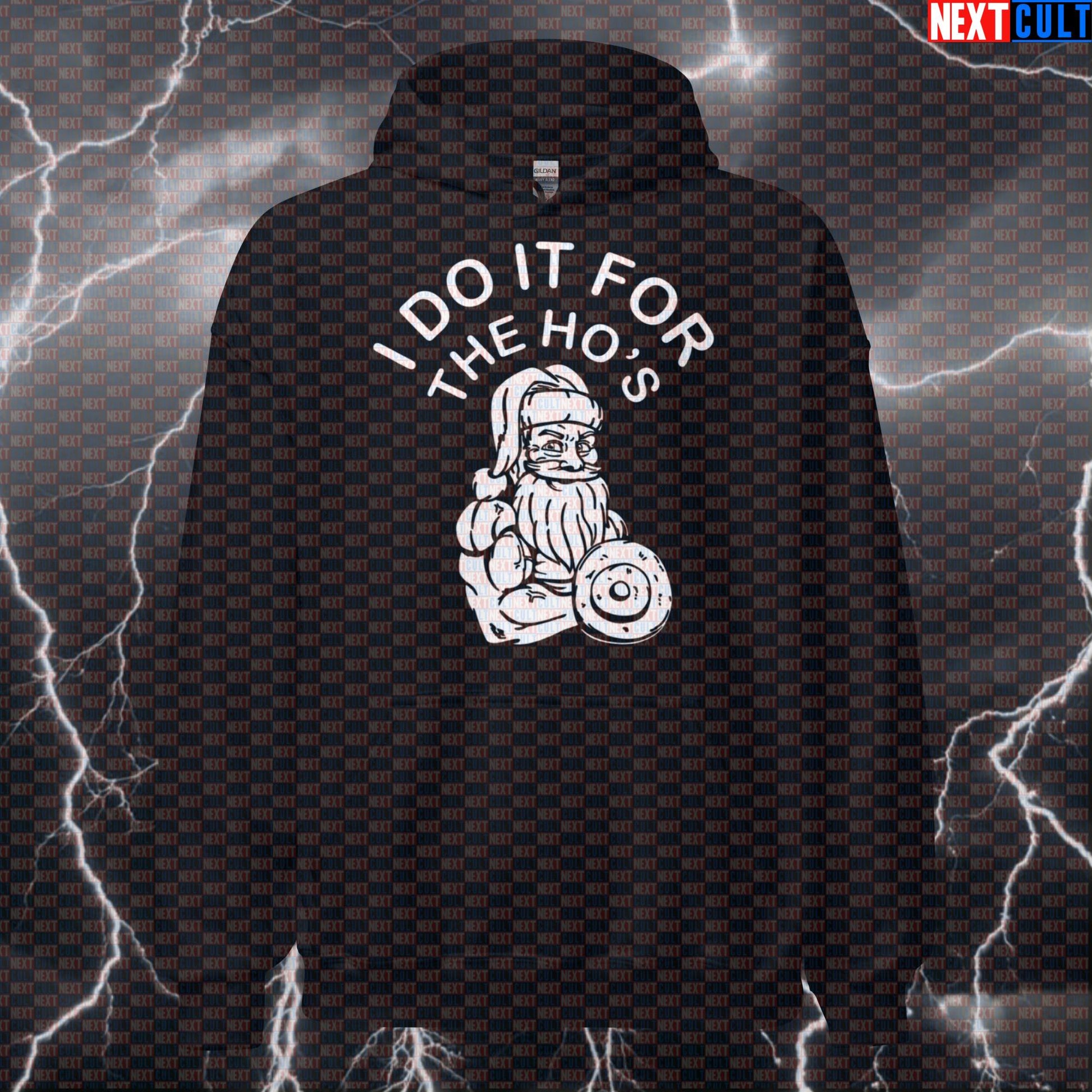 Funny Christmas Gym Meme Hoodie - I Do It For The Hos Hooded Sweatshirt For Santa Bros Hoodies Bodybuilding Christmas Fitness Gym Pump Cover Workout Next Cult Brand