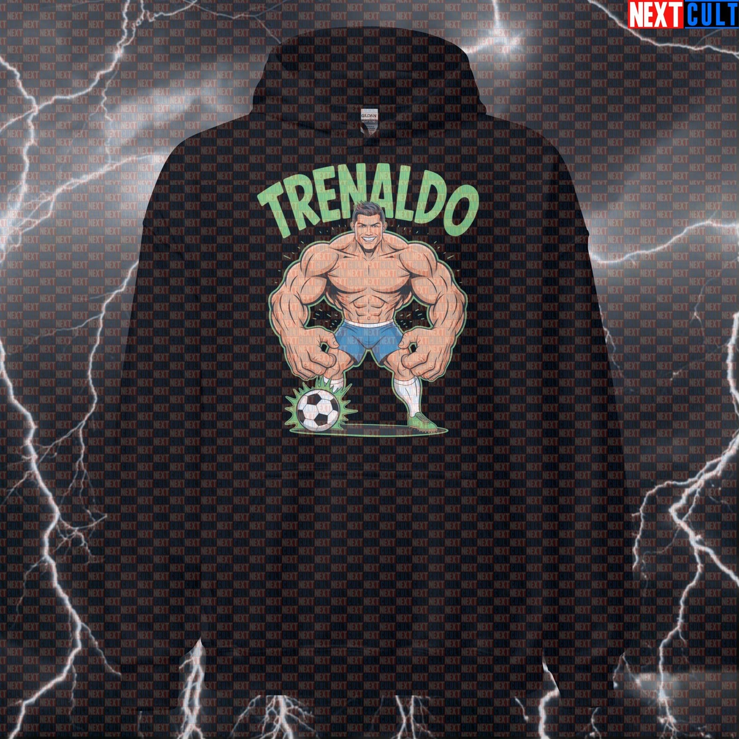 Funny Gym Hoodie for Lifters | Trenaldo Pump Cover Hooded Sweatshirt for Gym Bros & Workout Humor Fitness Gym Pump Cover Steroids Workout Next Cult Brand