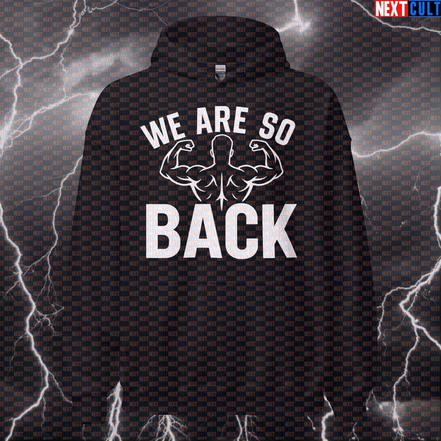 We Are So Back Gym Hoodie | Funny Workout Hoodie for Back Training & Bodybuilding Bodybuilding Fitness Gym Pump Cover Workout Next Cult Brand