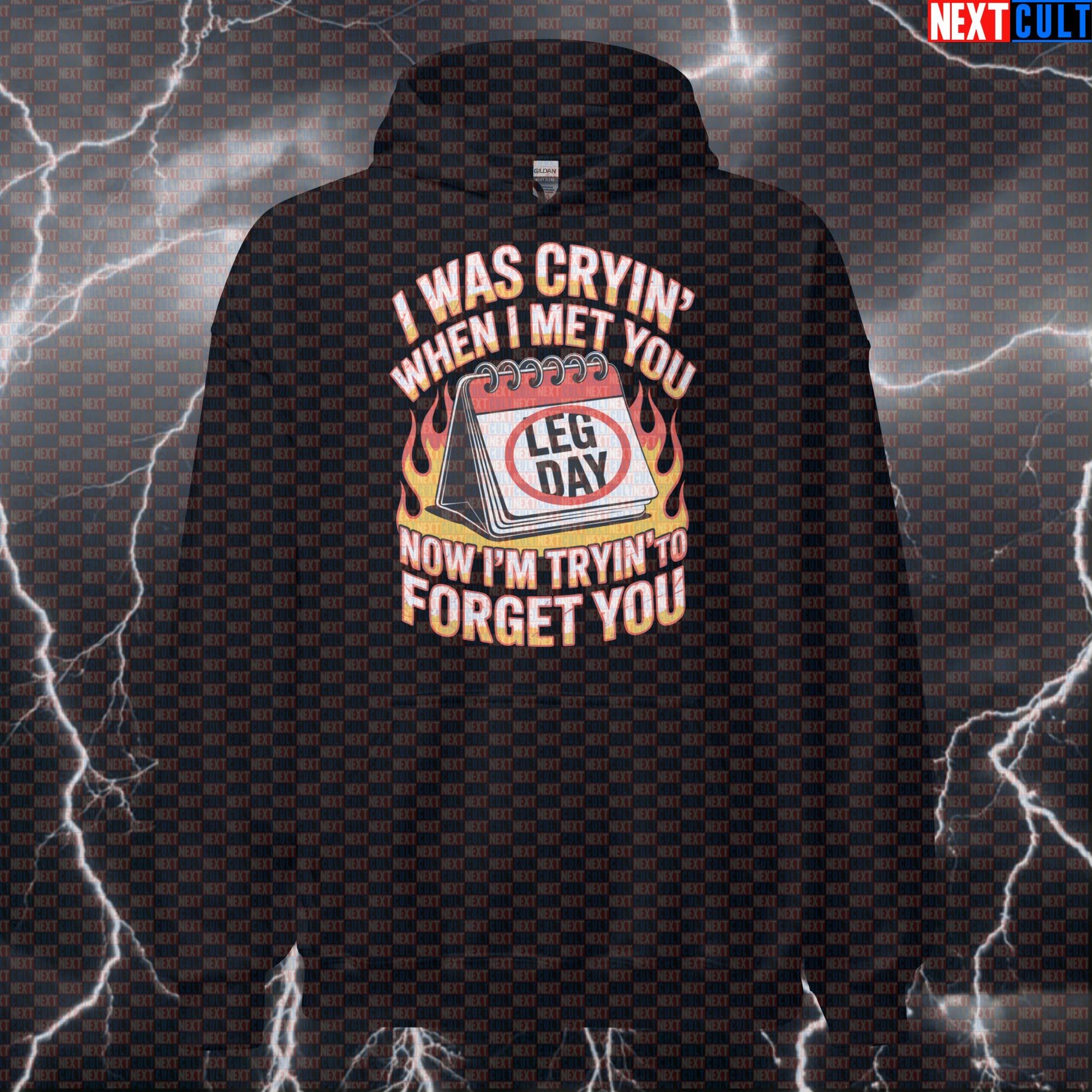 Leg Day Meme Hoodie - Funny Gym Hoodie & Workout Pullover for Weightlifting Fans Hoodies Aerosmith Bodybuilding Fitness Gym Leg Day Powerlifting Pump Cover Rock Music Workout Next Cult Brand