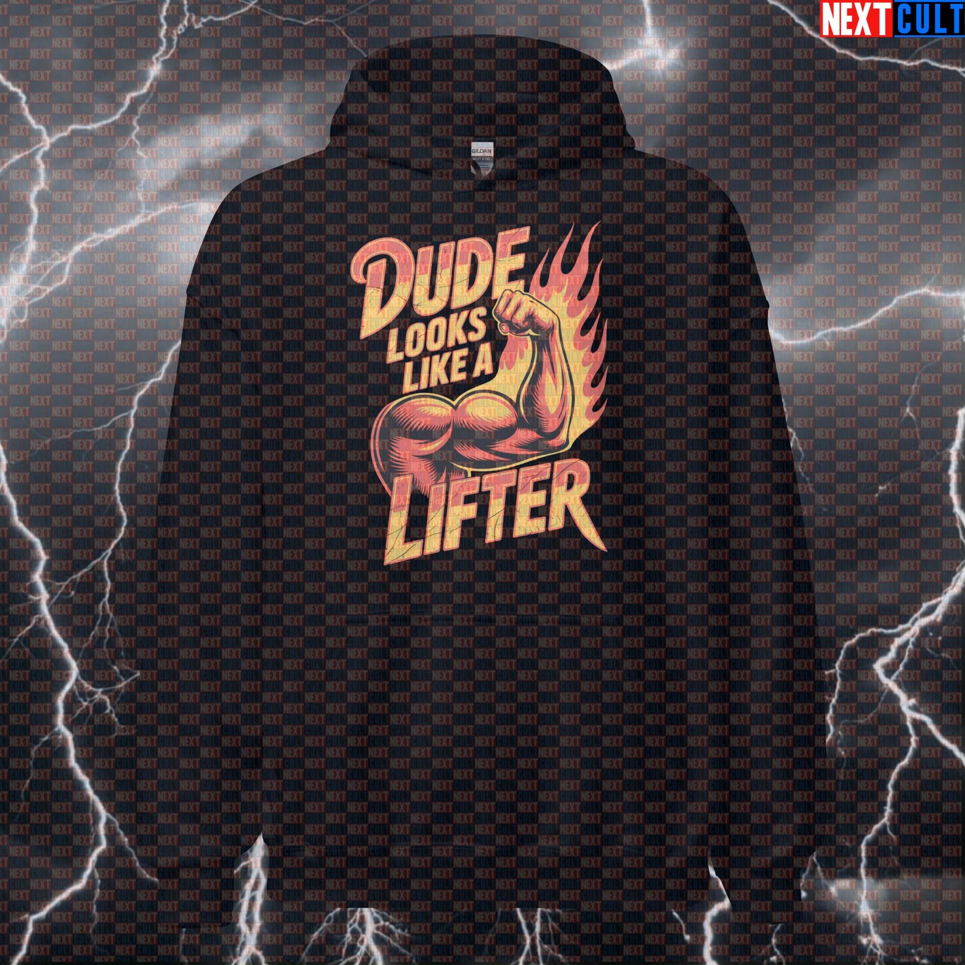 Dude Looks Like a Lifter Funny Gym Hoodie - Rock Music Meme Hooded Sweatshirt Pullover Pump Cover Hoodies Aerosmith Bodybuilding Fitness Gym Pump Cover Rock Music Workout Next Cult Brand