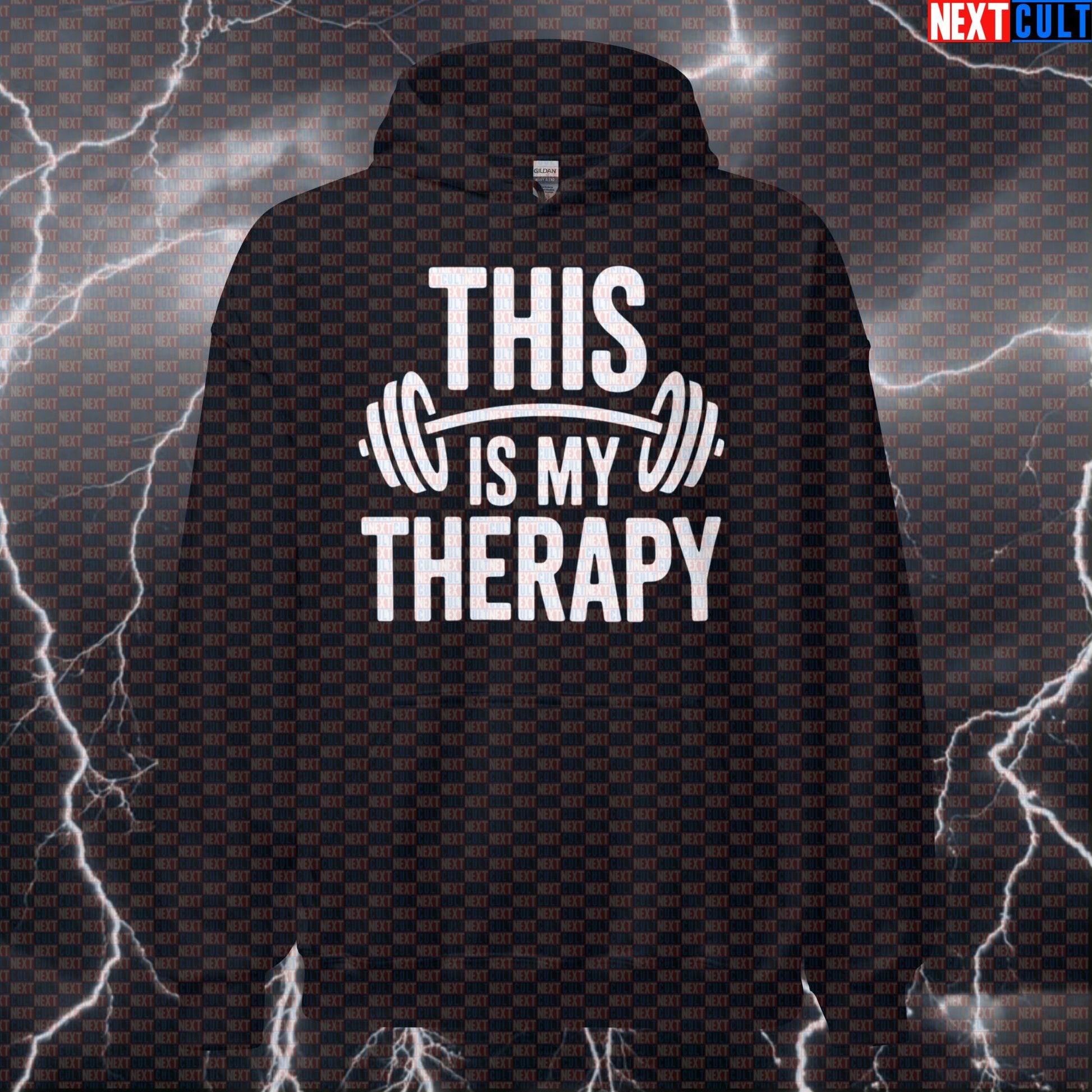 This Is My Therapy Funny Gym Hoodie Hooded Sweatshirt Pullover Pump Cover for Lifters Workout Humor Hoodies Next Cult Brand