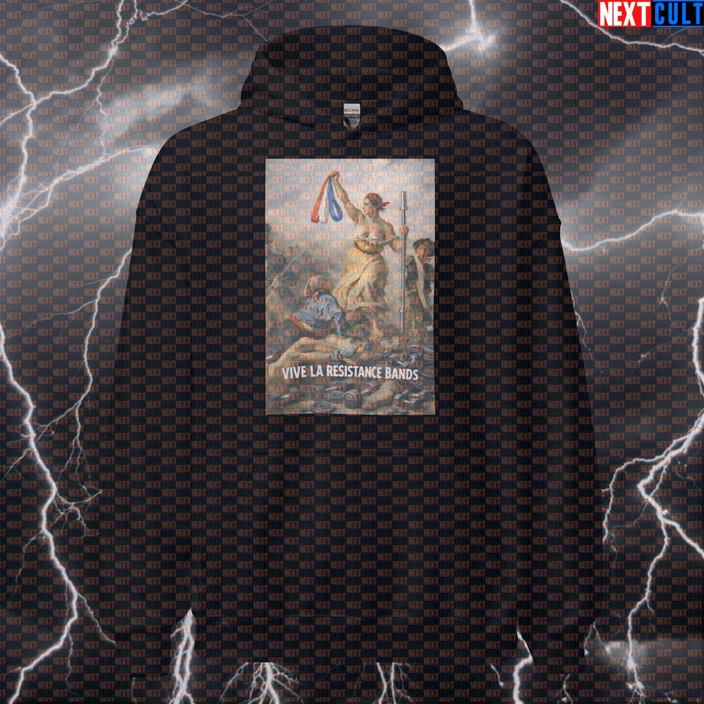 Vive La Resistance Bands Funny Gym Hoodie Painting Meme – Resistance Bands Warmup Rehab Mobility Fitness Revolution Hoodie Fitness Functional Fitness Gym Pump Cover Workout Next Cult Brand