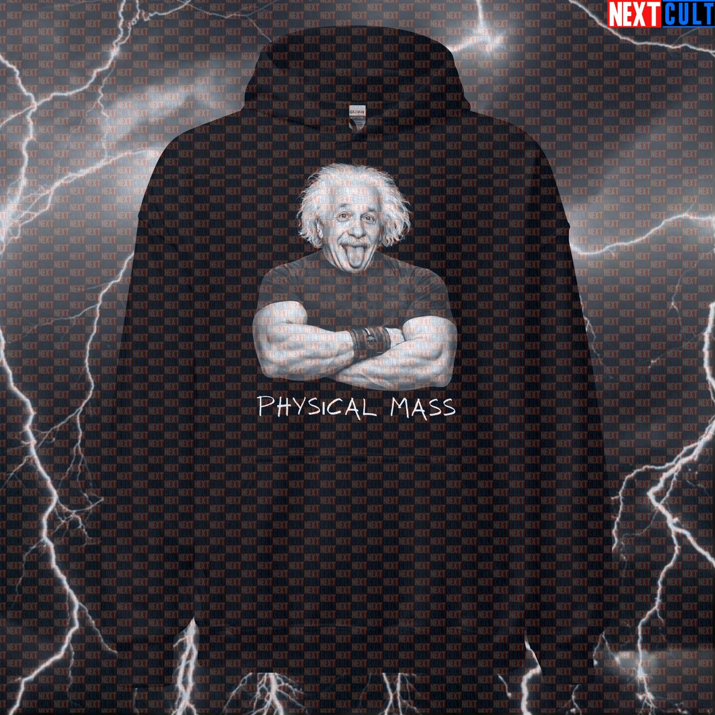 Physical Mass Funny Gym Hoodie Albert Einstein Science Based Lifting Bro Science Workout Hoodie Fitness Hoodies Next Cult Brand